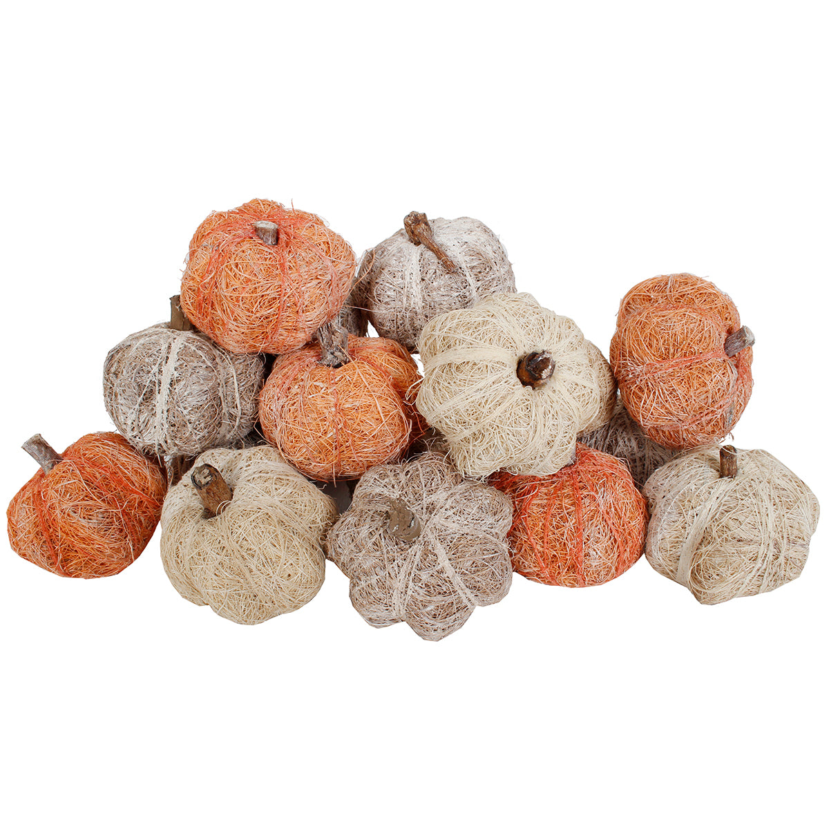 Dried Exotics Pumpkins Natural/White/Orange Assorted
