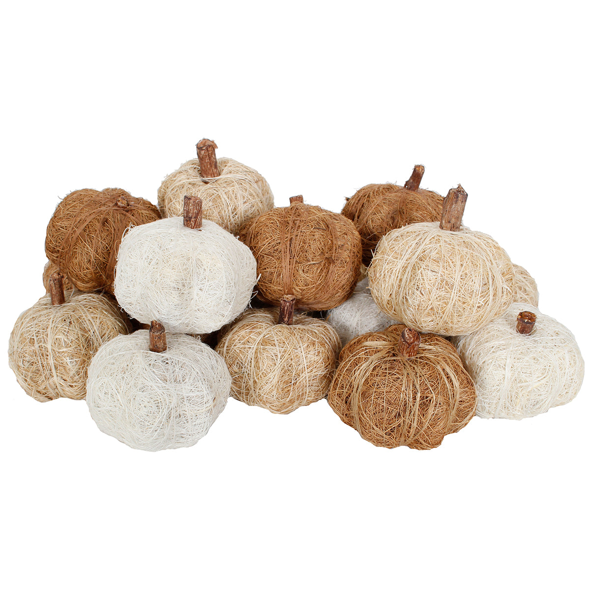 Dried Exotics Pumpkins Natural Assorted