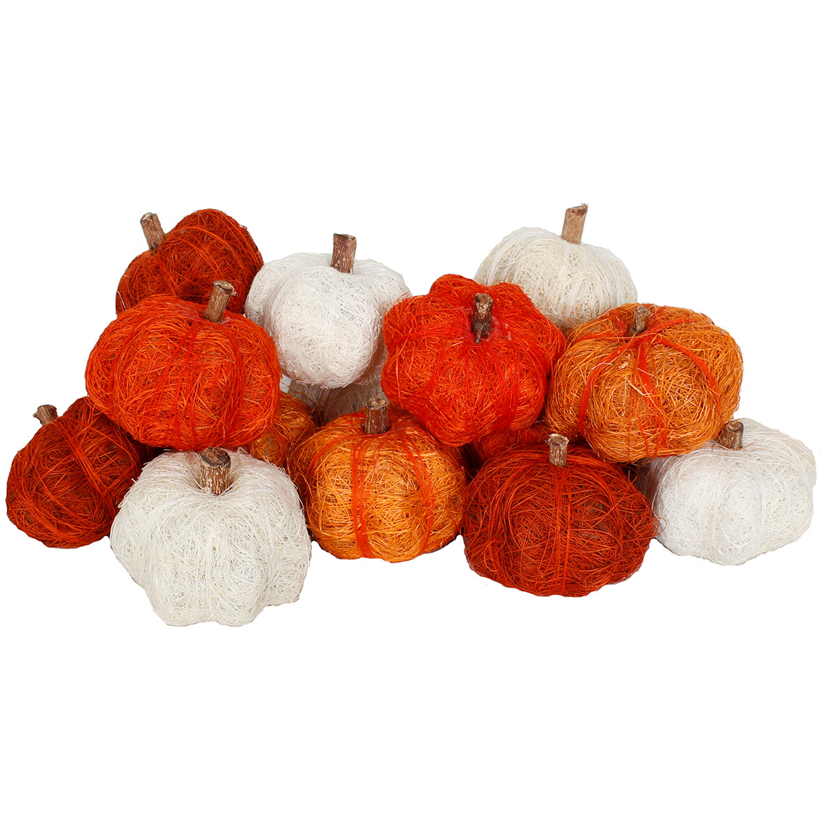 Dried Exotics Pumpkins Orange/Natural Assorted