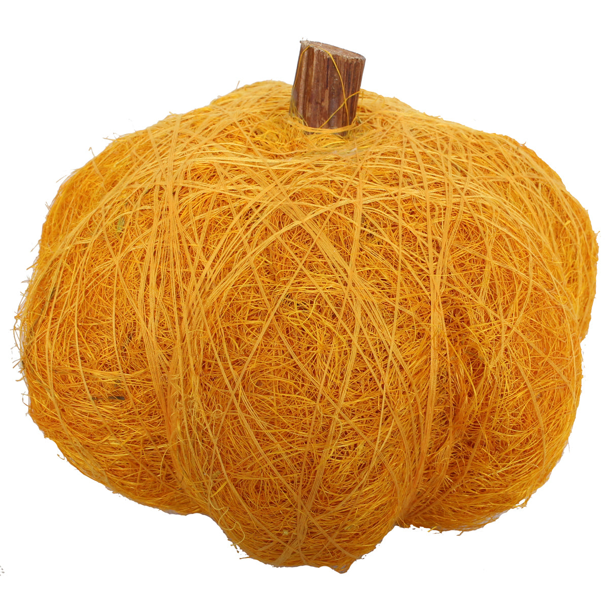 Dried Exotic Pumpkins 8"W X 5"H Mustard