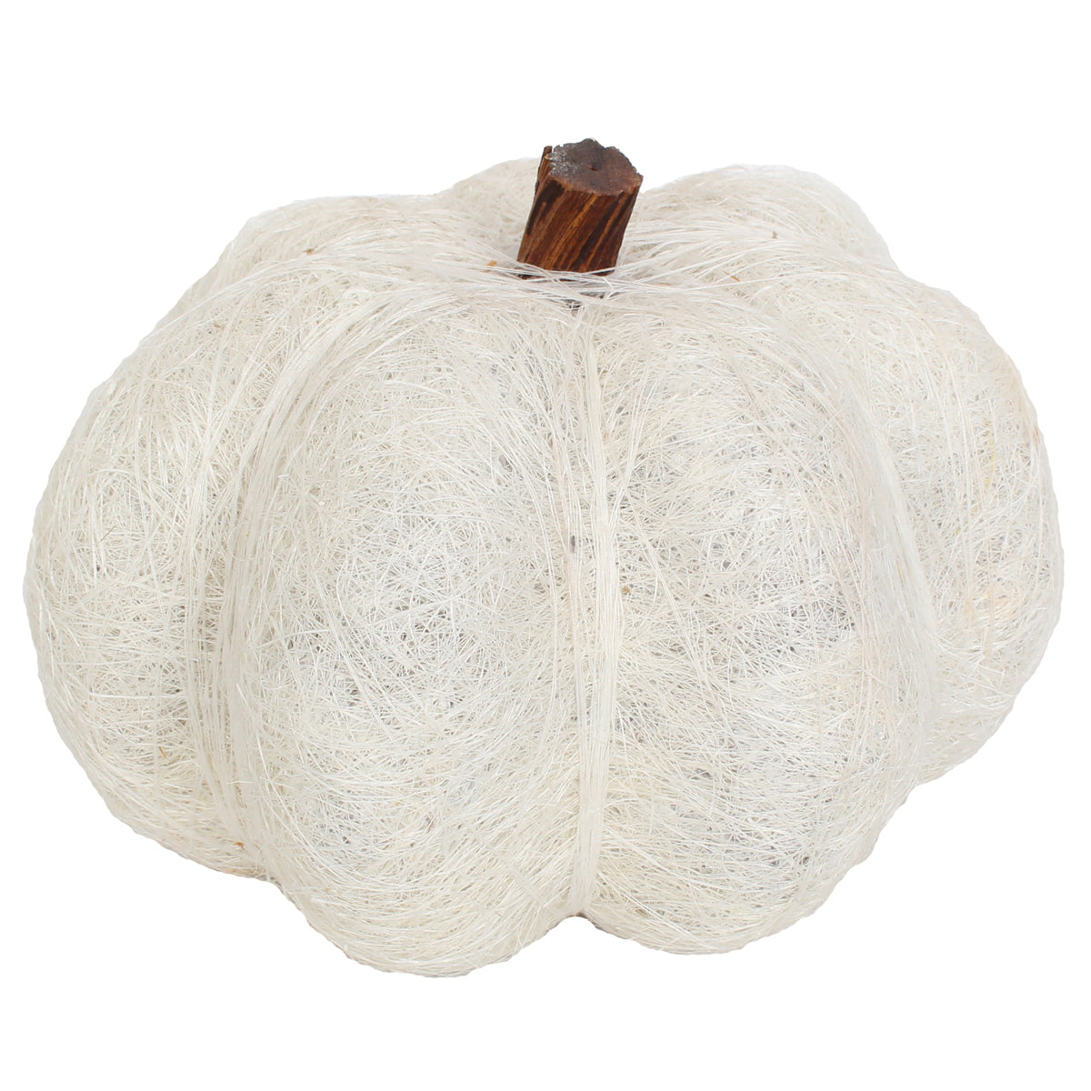 Dried Exotic Pumpkins 6"W X 4"H White