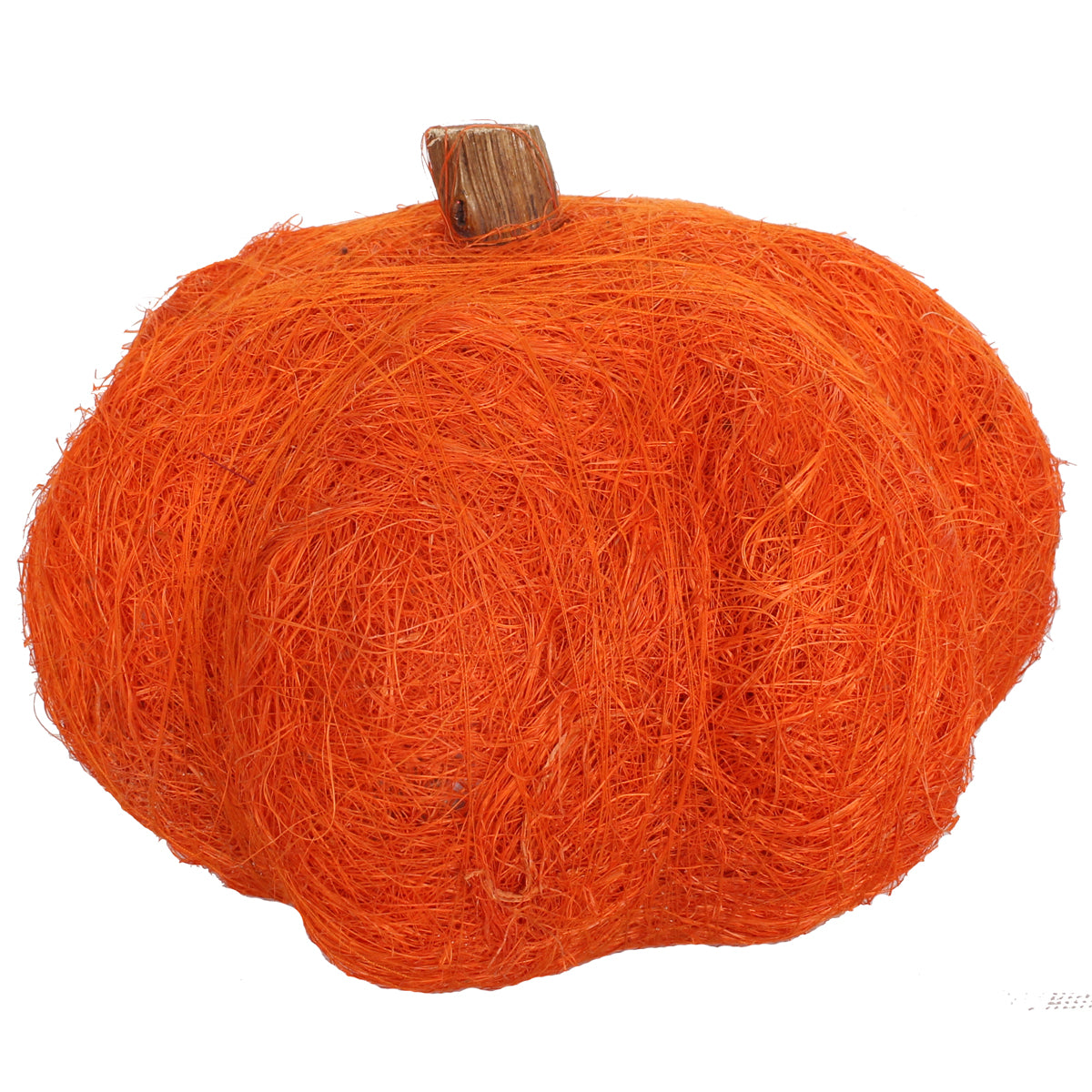 Dried Exotic Pumpkins 6"W X 4"H Orange