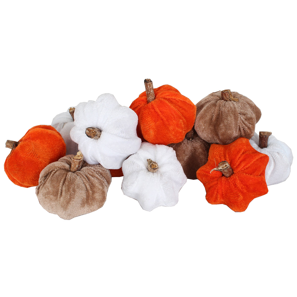 Dried Exotics Pumpkins Velvet 12 Pc Asst