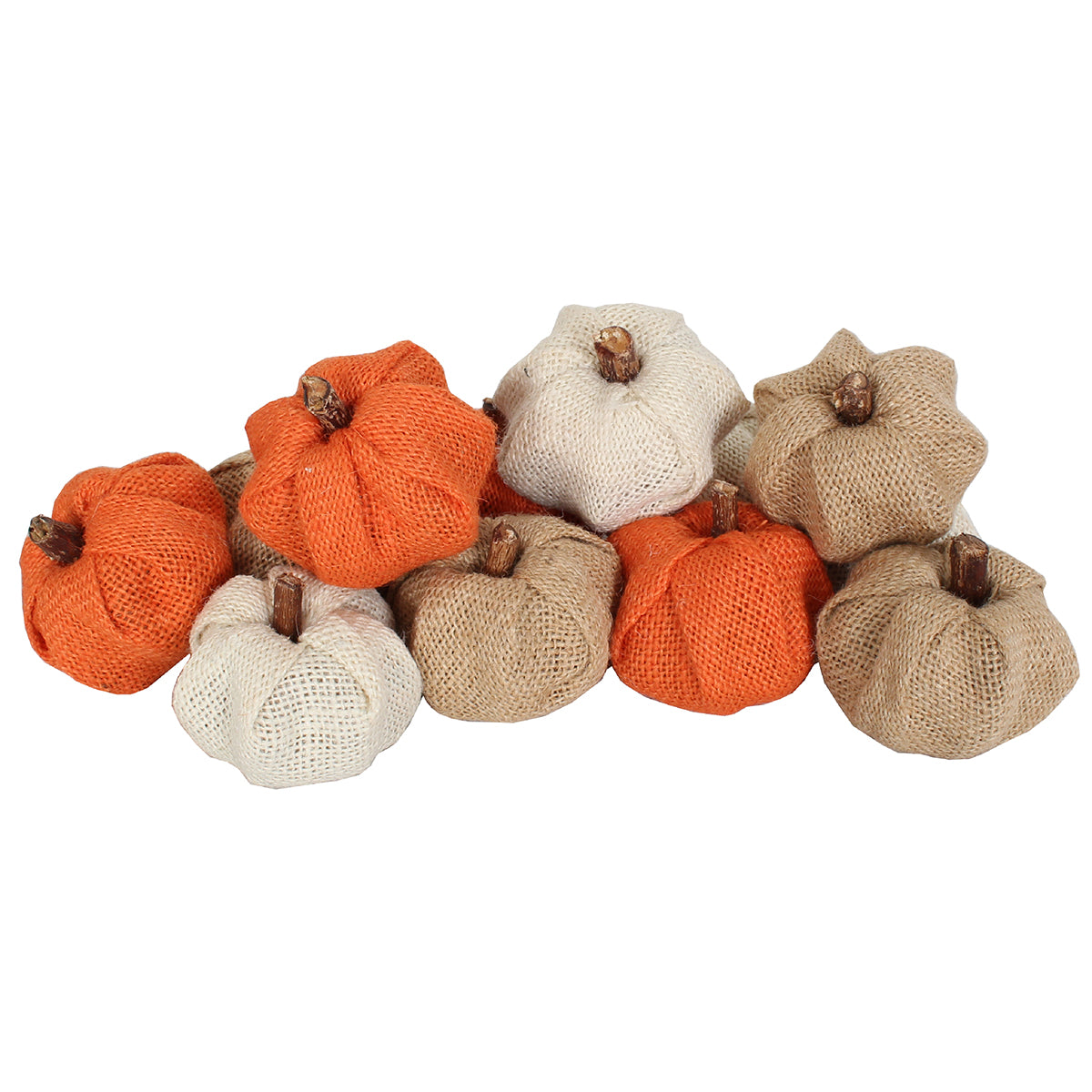 Dried Exotics Pumpkins Burlap 12 Pc Asst
