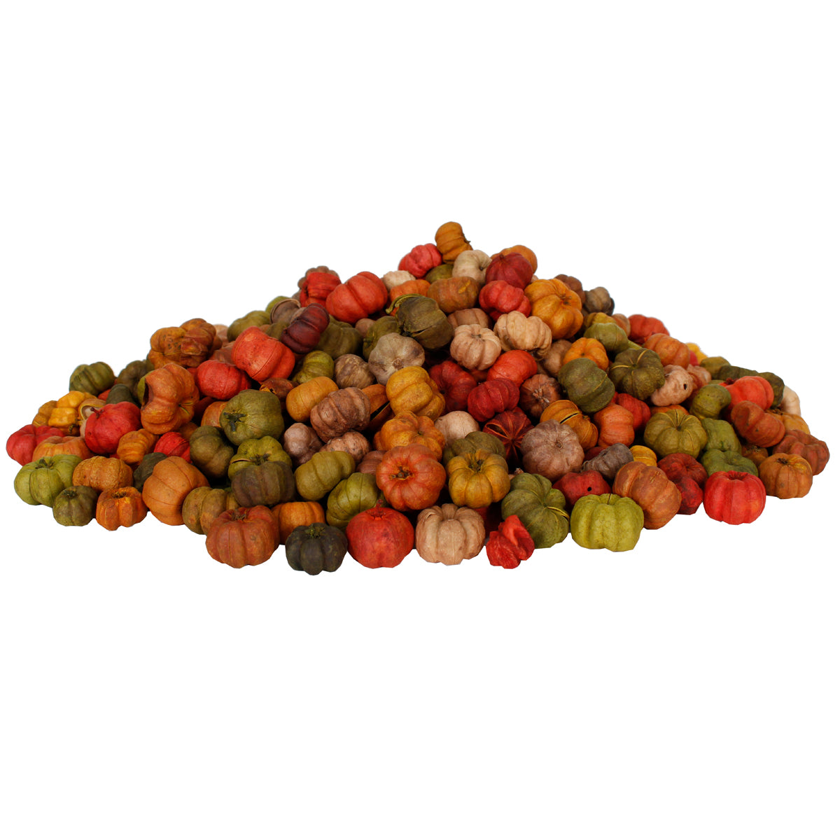 Dried Exotics Putka Pod - Patch