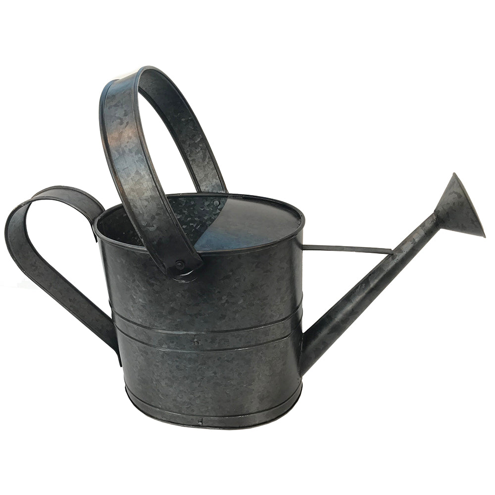 Watering Can 14"x6"x4.5" Galvanized Platinum