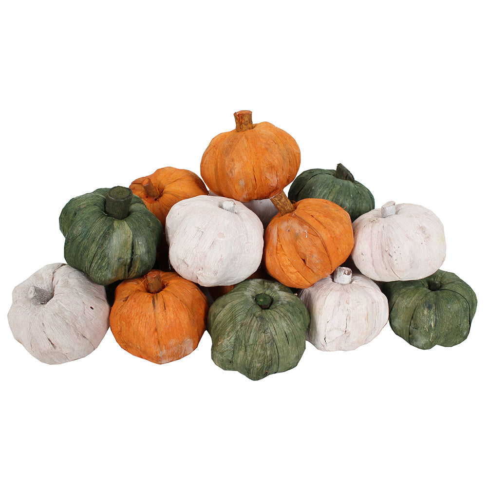Dried Exotics Pumpkins - White/Green/Orange
