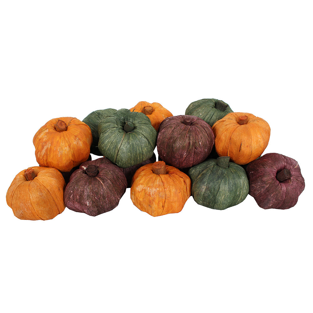 Dried Exotics Pumpkins - Yellow/Green/Orange