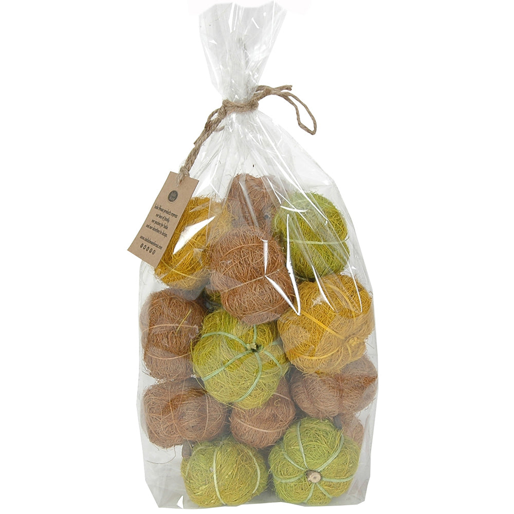 Dried Exotics Pumpkins - Green/Natural