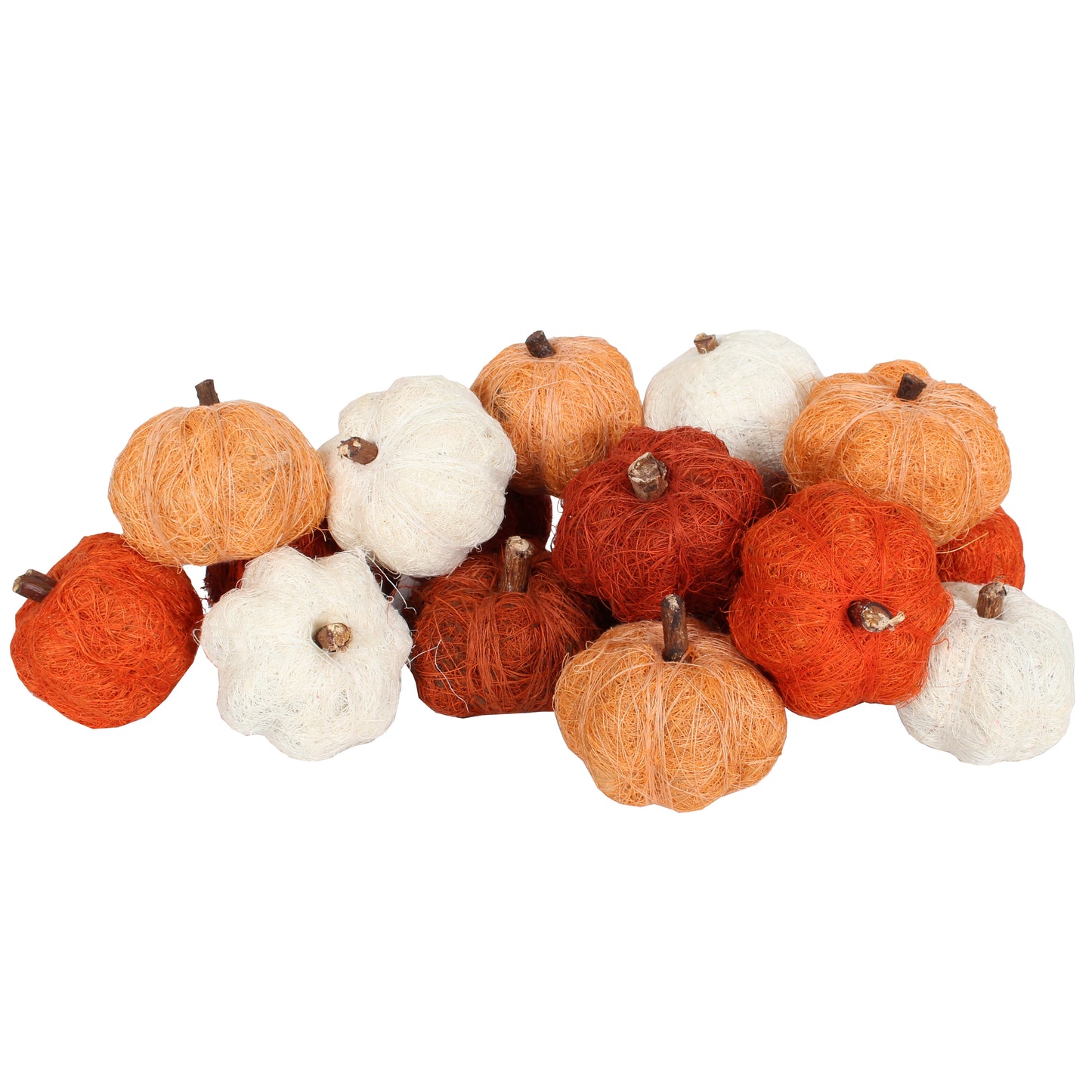 Dried Exotics Pumpkins - Orange/Natural