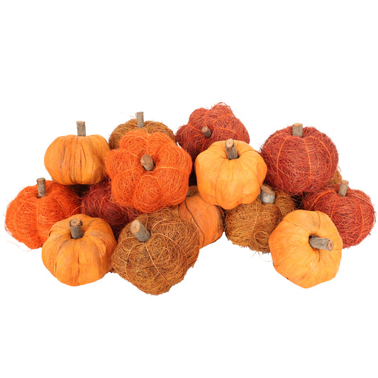 Dried Exotics Pumpkins   - Patch Assorted