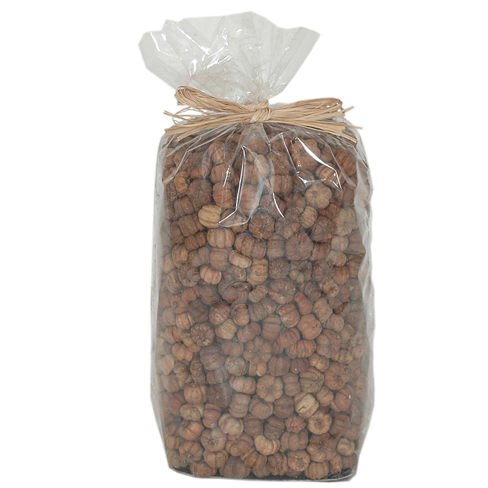 Dried Exotics Putka Pod - Natural