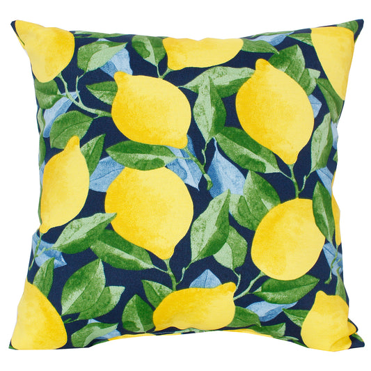 Outdoor Pillow 16" Square Citrus Sapphire
