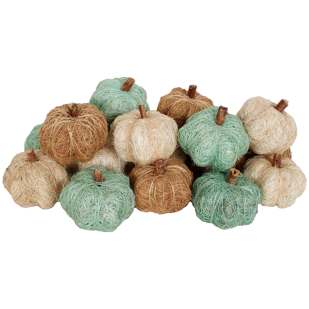 Dried Exotics Pumpkins Sage/Natural Assorted