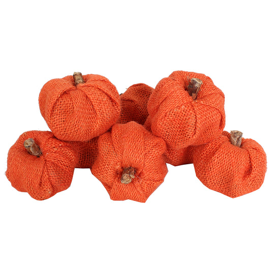 Dried Exotics Pumpkins Burlap 12 Pc Orange