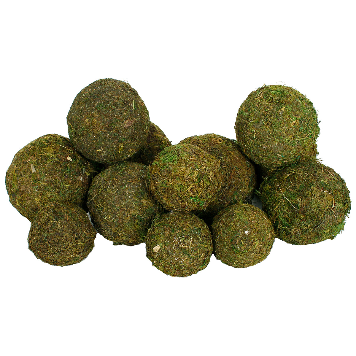 Dried Exotics Moss Orbs 12 Pc Green