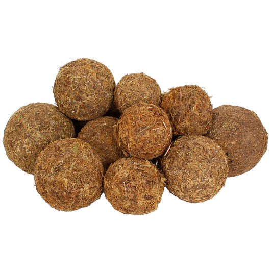 Dried Exotics Moss Orbs 12 Pc Natural