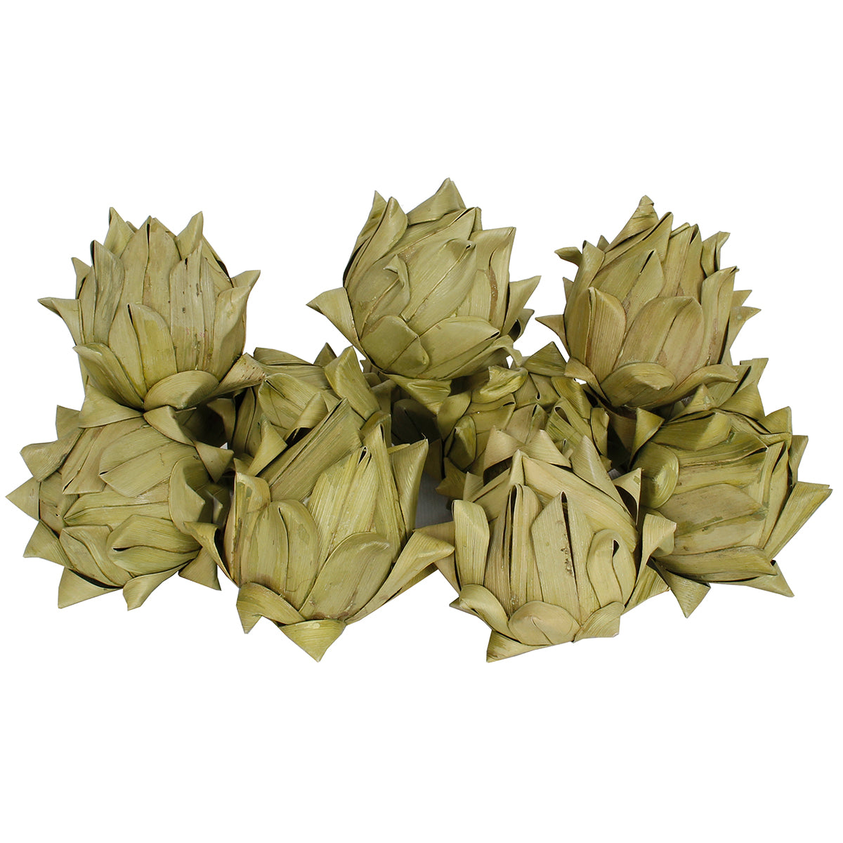 Dried Exotics Artichokes 12 Pc Green