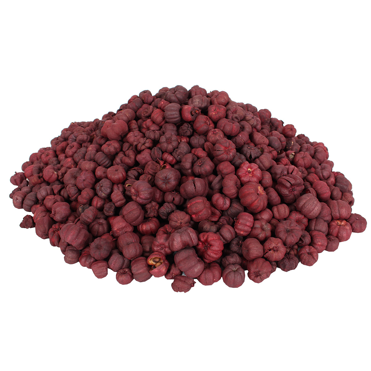 Dried Exotics Putka Pod - Cranberry