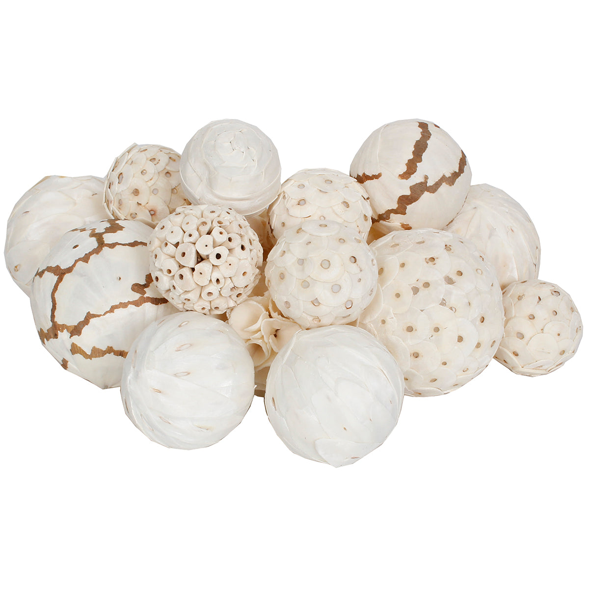 Dried Exotics Orbs 18 pieces - White Assorted