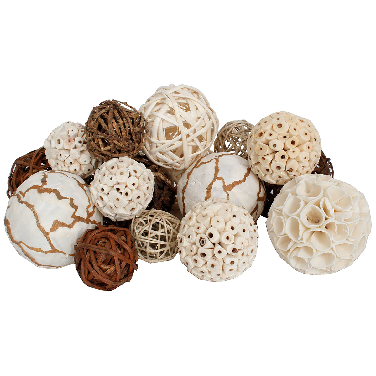 Dried Exotics Orbs 18 pieces Natural Assorted