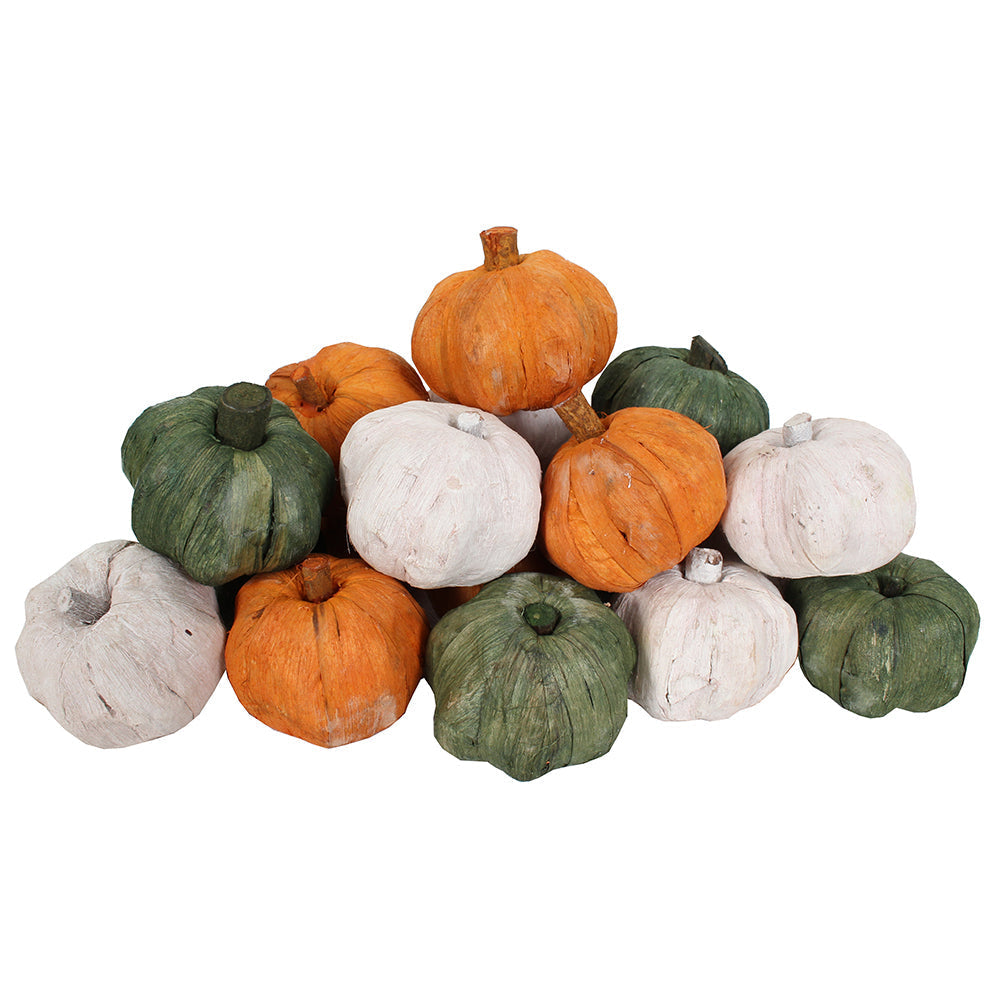 Dried Exotics Pumpkins   - White/Green/Orange