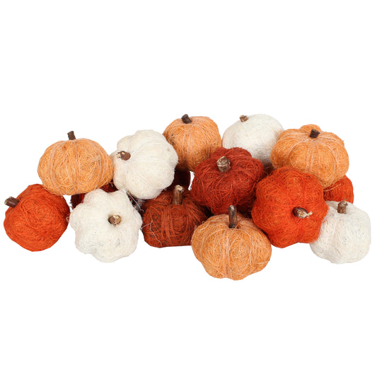 Dried Exotics Pumpkins   - Orange/Natural