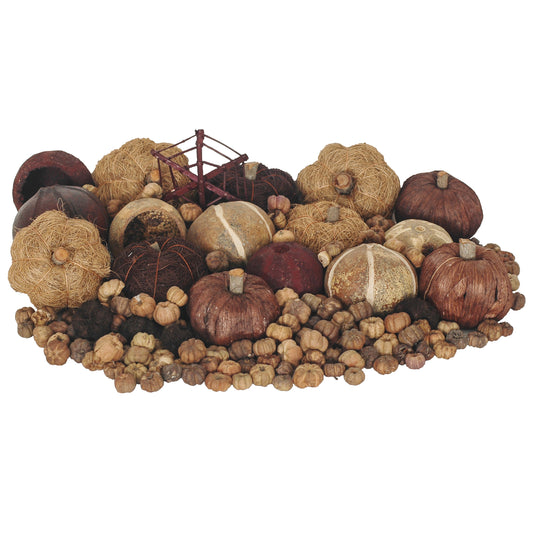Dried Exotics Pumpkins   - Natural Assorted